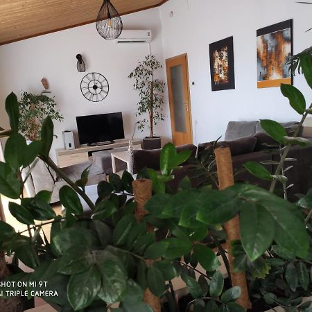 מאקרסקה Apartment Burich מראה חיצוני תמונה